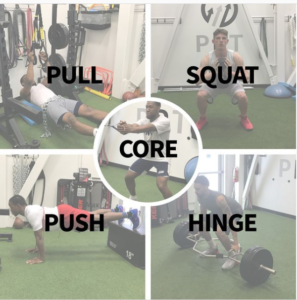 Push-Pull-Squat-Hinge-Core